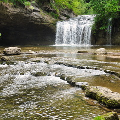 DSC05479