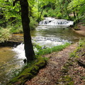 DSC05481