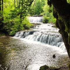 DSC05483