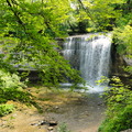 DSC05496