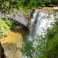 DSC05501