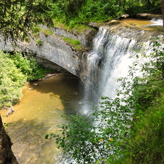 DSC05501