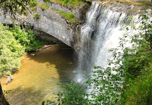 DSC05501