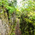 DSC05520