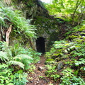 DSC05521