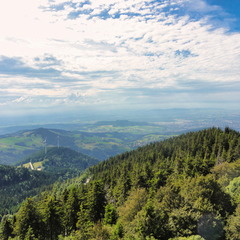 DSC05540