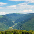 DSC05545