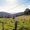 DSC05549