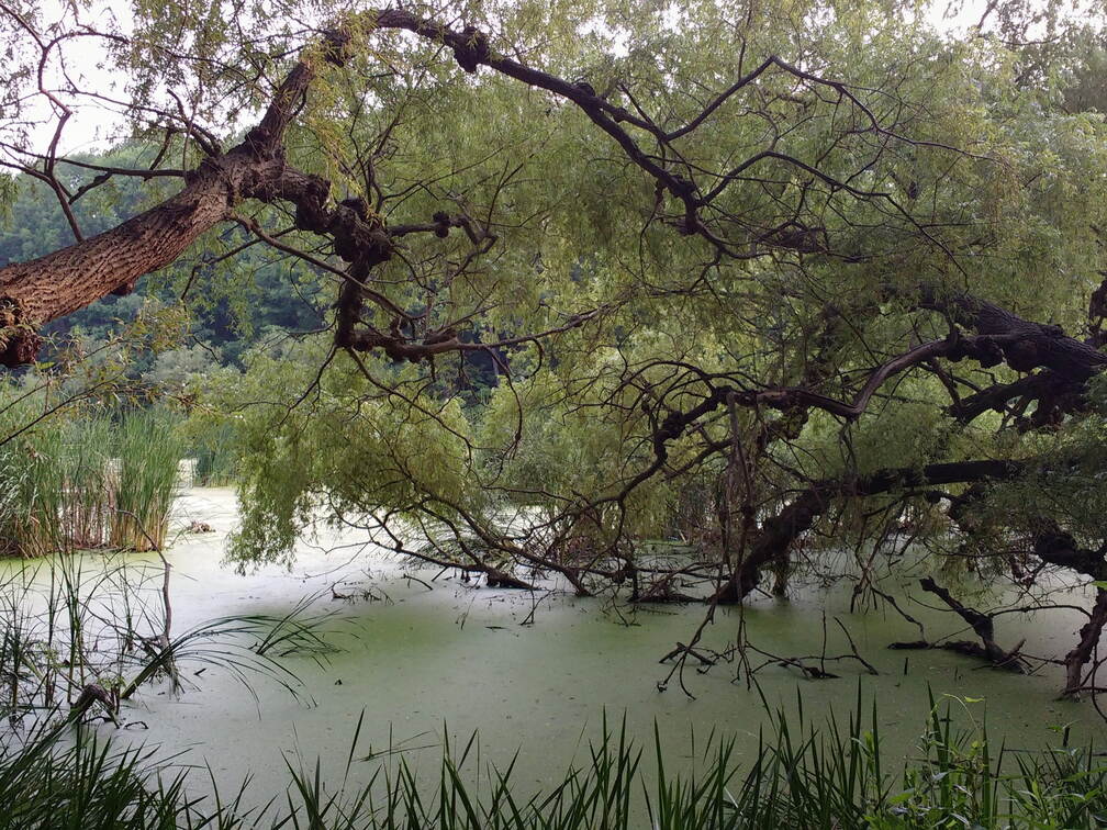 IMG 20180701 013826046