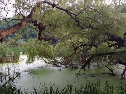 IMG 20180701 013826046