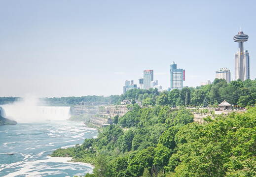 DSC 7862