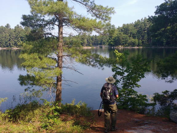 IMG 20180705 101831588