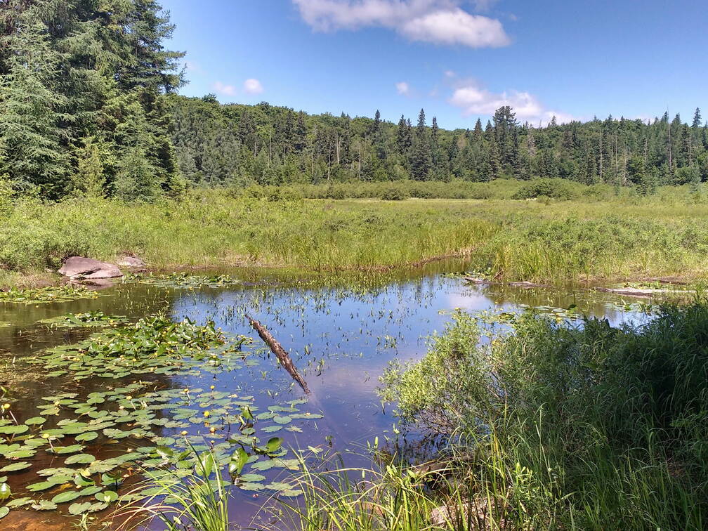 IMG 20180706 120353063 HDR