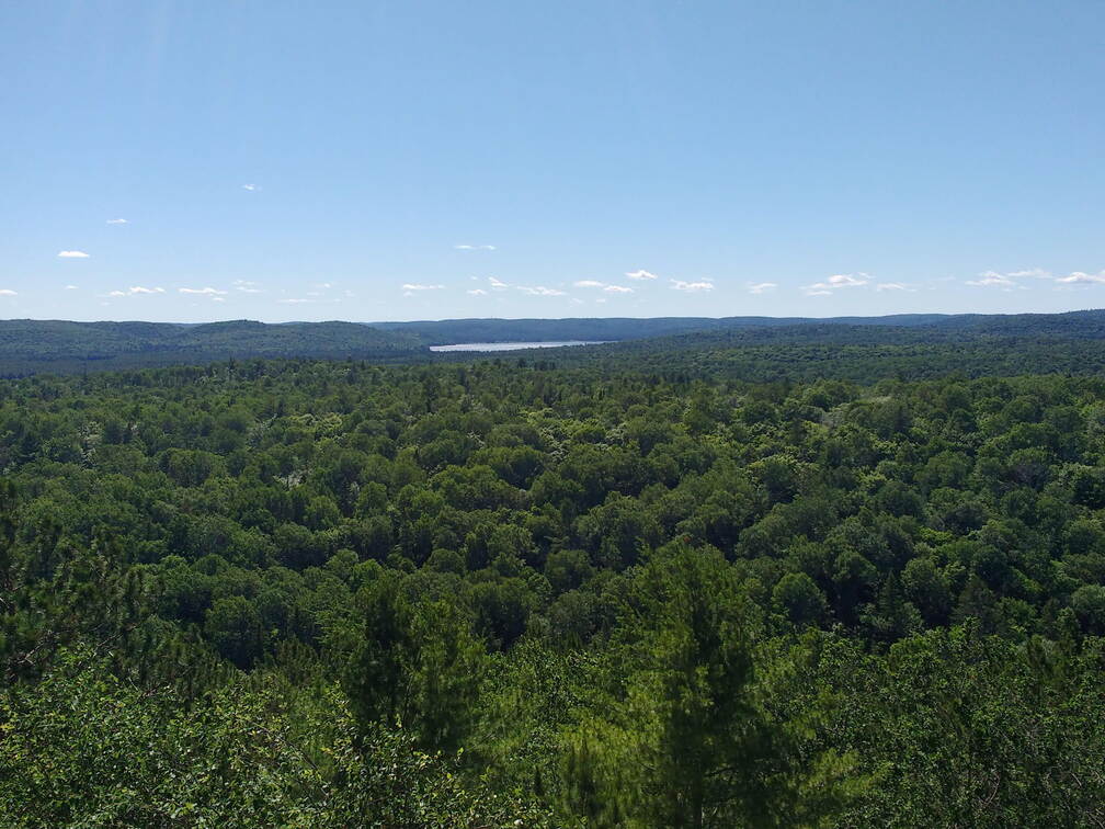 IMG 20180706 160526053