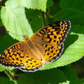 DSC 8246