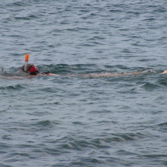 IMG 1192