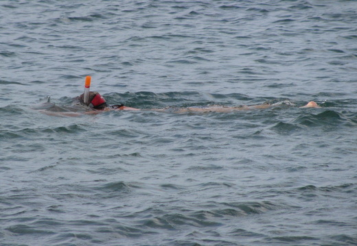 IMG 1192