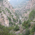 IMG 1238