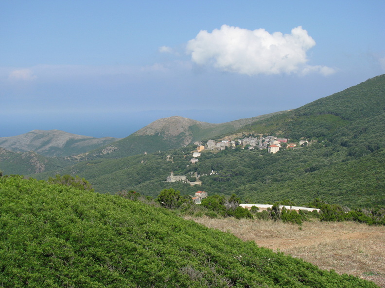 IMG_1273.jpeg