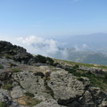 IMG 1290