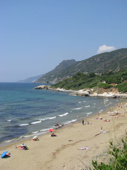 IMG_1306.jpeg