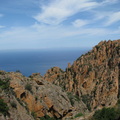 IMG_1375.jpeg