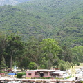 IMG 1394