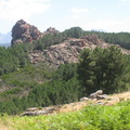 IMG 1455