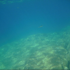 PICT0130