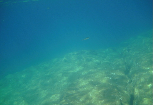 PICT0130
