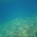 PICT0130