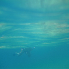 PICT0131