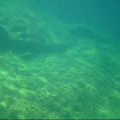 PICT0133
