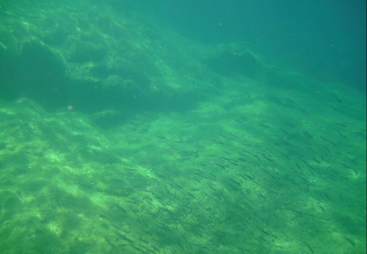 PICT0133