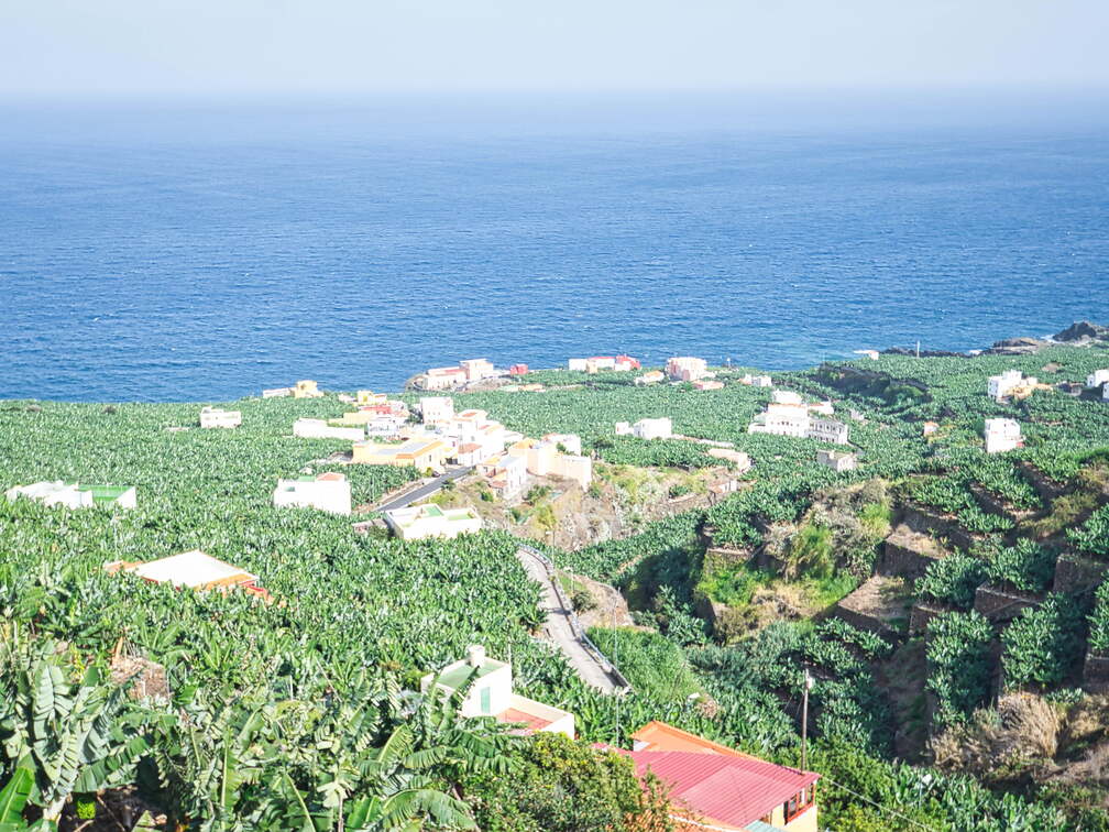 DSC 7056