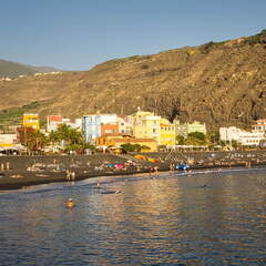 DSC 7236