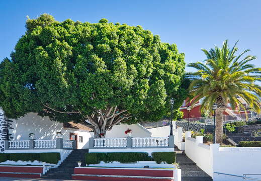 DSC 7251