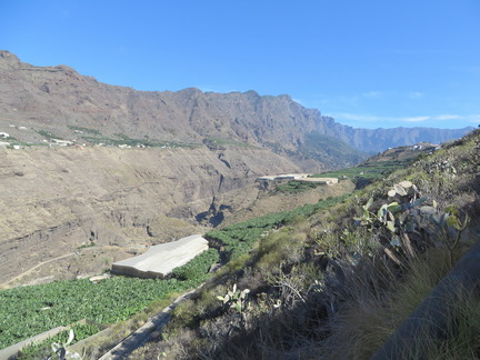 IMG 0988
