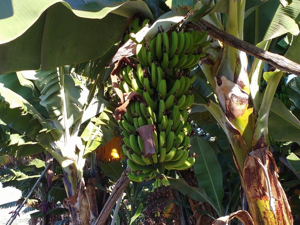 IMG 20171018 112716818