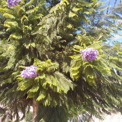 IMG 20171018 122143230