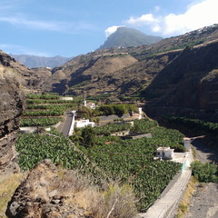 IMG 20171018 130813692