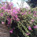 IMG 20171018 155719131