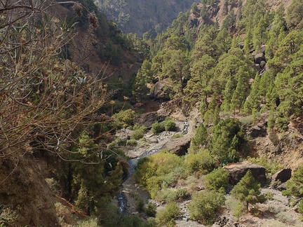 IMG 20171019 131639606