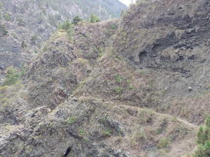 IMG 20171019 152756734