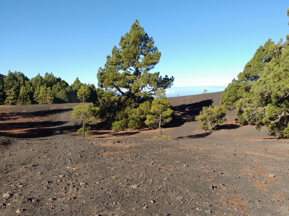 IMG 20171020 102623326