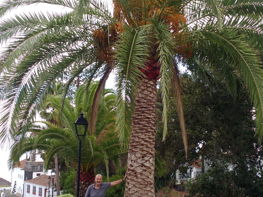 IMG 20171020 112933618