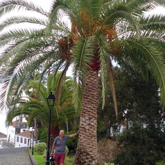 IMG 20171020 112933618