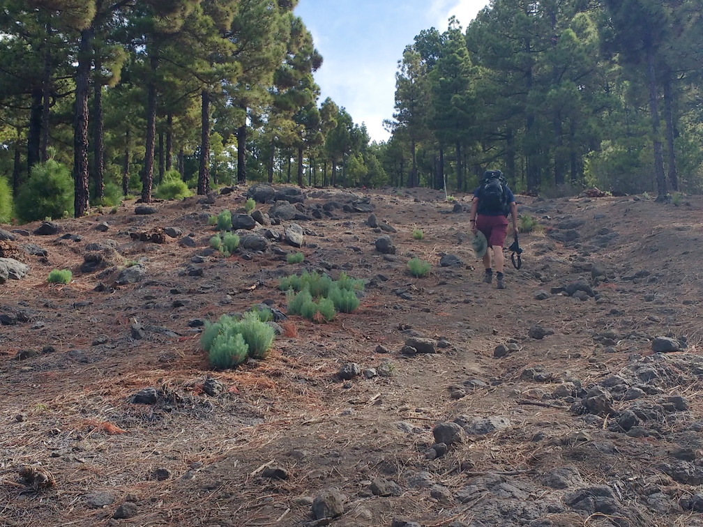 IMG 20171021 114023782