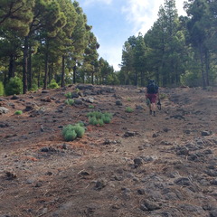 IMG 20171021 114023782