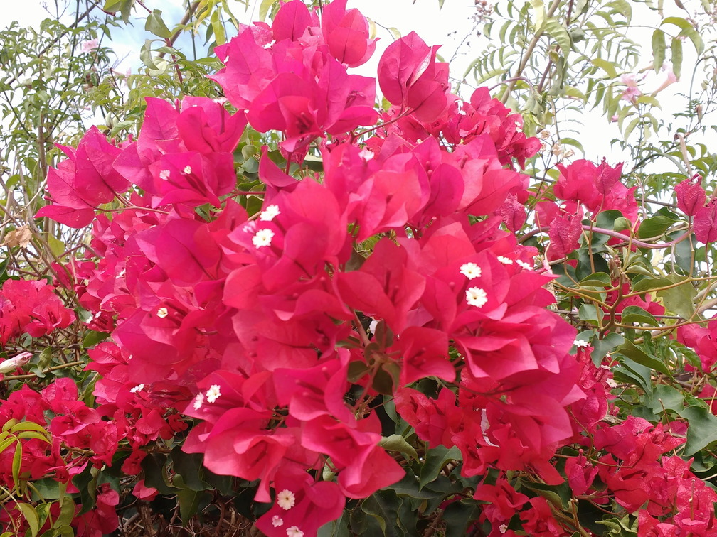 IMG 20171021 144025757